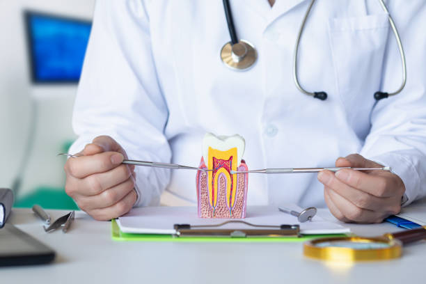 Best Emergency Treatment for Dental Infections or Abscesses in Tuckerman, AR